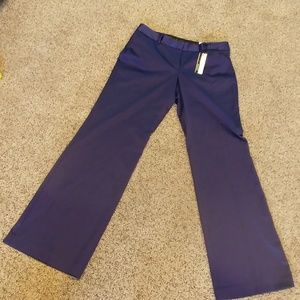 NWT Express flare leg editor pants size 10